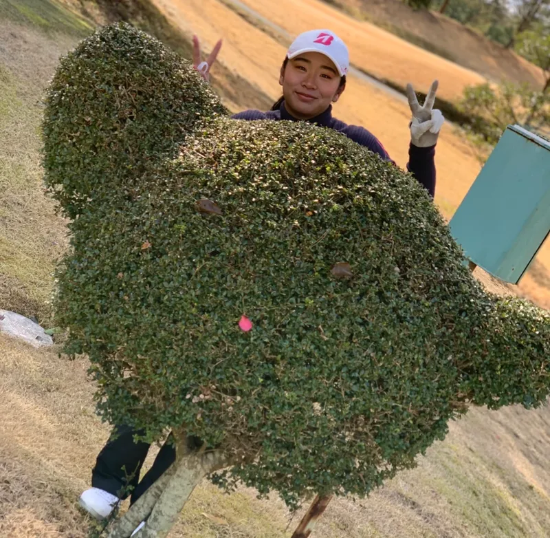 竹ノ内南