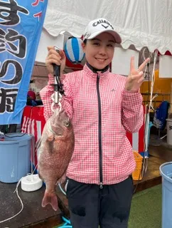 保坂萌々